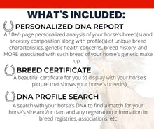 Load image into Gallery viewer, Horse DNA Breed Test
