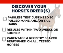 Load image into Gallery viewer, Horse DNA Breed Test
