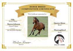 Horse breed composition certificate with a running horse on a white background
